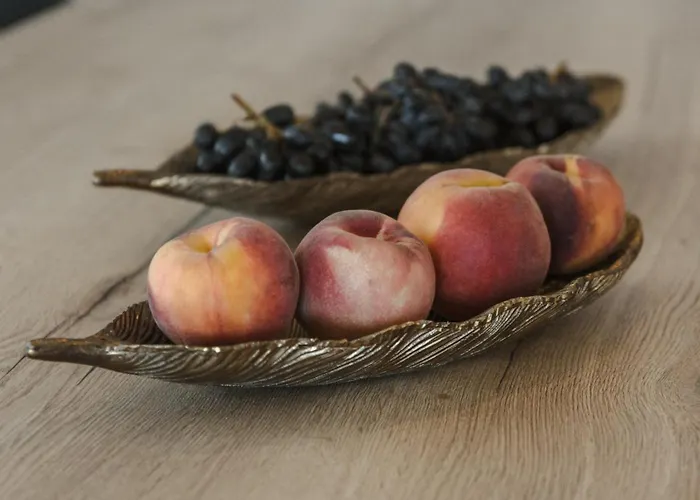 Pura Vida House * 키오타리